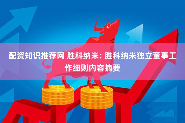 配资知识推荐网 胜科纳米: 胜科纳米独立董事工作细则内容摘要