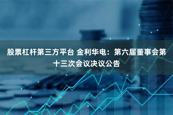 股票杠杆第三方平台 金利华电：第六届董事会第十三次会议决议公告