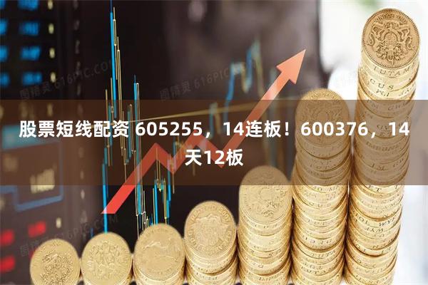 股票短线配资 605255，14连板！600376，14天12板